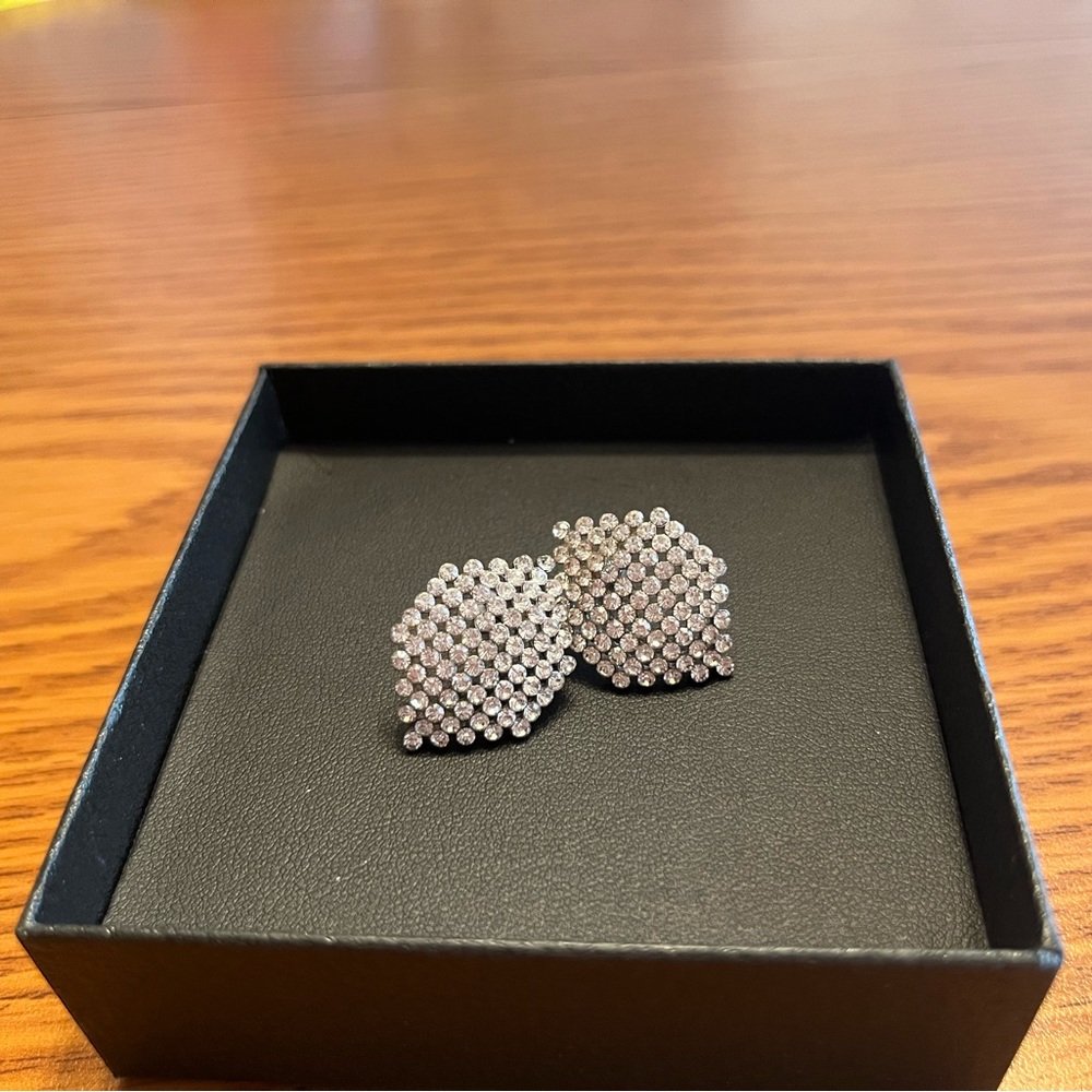 Sliver stubs earring